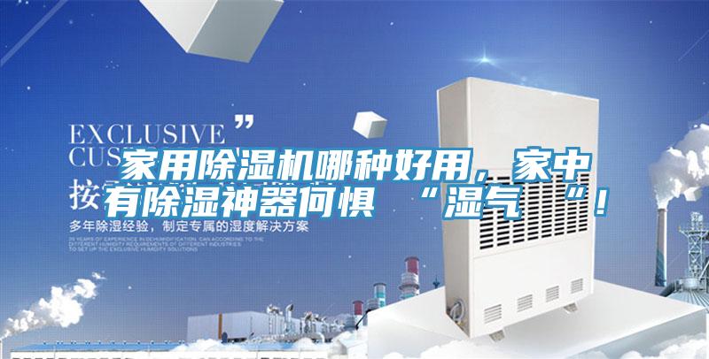 家用除濕機哪種好用，家中有除濕神器何懼 “濕氣 “！