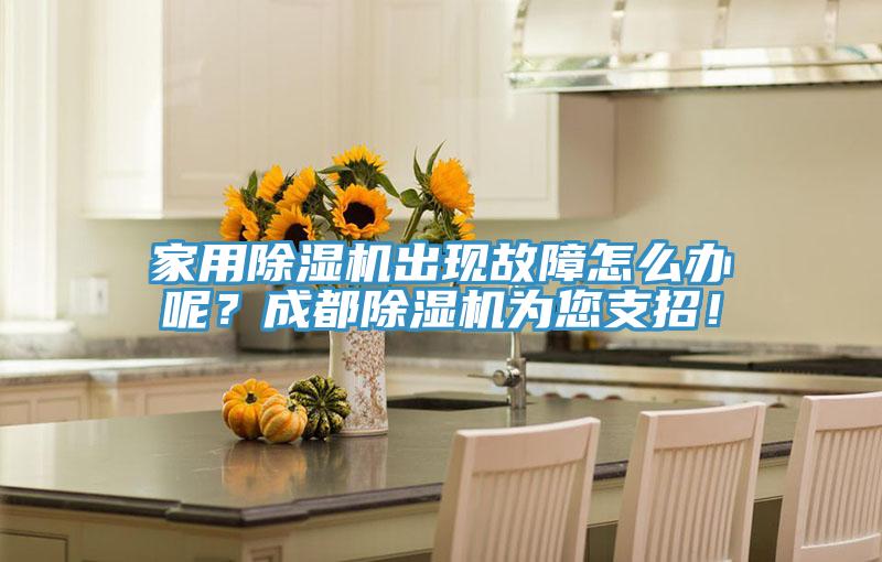 家用除濕機(jī)出現(xiàn)故障怎么辦呢？成都除濕機(jī)為您支招！