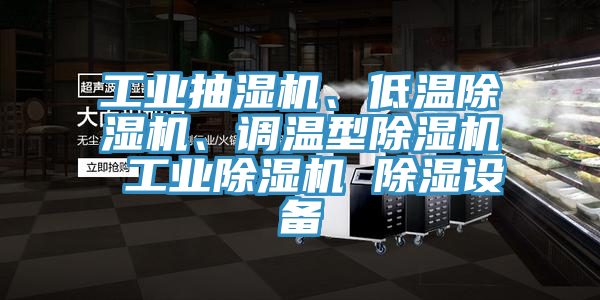工業(yè)抽濕機、低溫除濕機、調(diào)溫型除濕機 工業(yè)除濕機 除濕設備