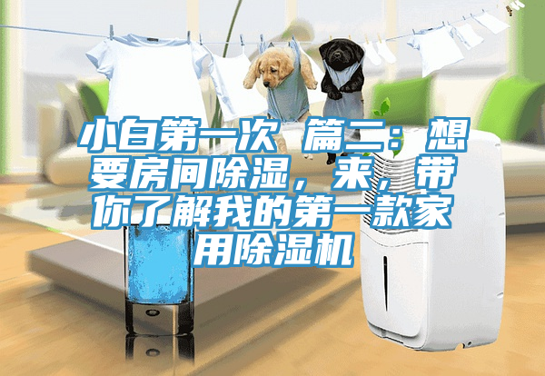 小白第一次 篇二：想要房間除濕，來，帶你了解我的第一款家用除濕機