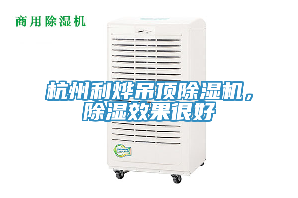 杭州利燁吊頂除濕機,除濕效果很好