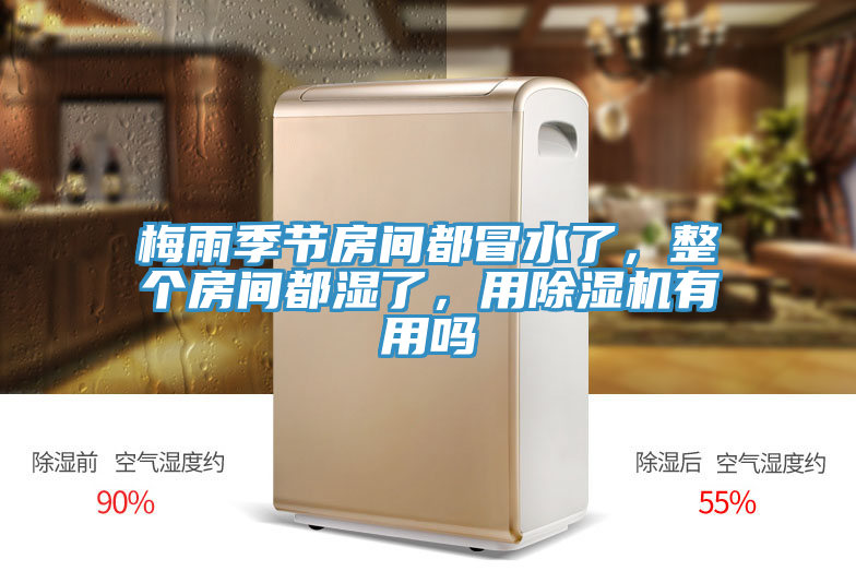 梅雨季節房間都冒水了，整個房間都濕了，用除濕機有用嗎