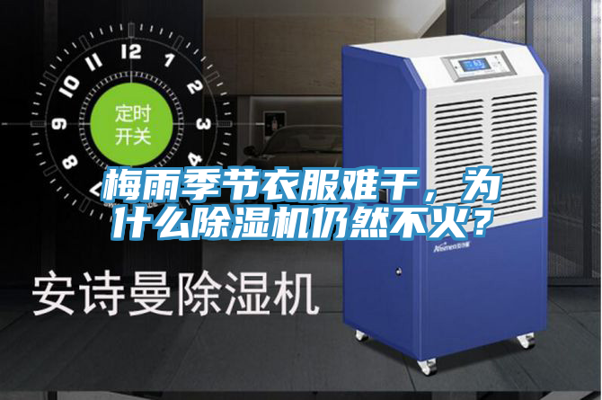 梅雨季節衣服難干，為什么除濕機仍然不火？
