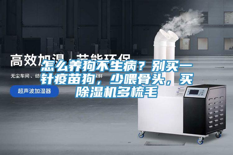怎么養狗不生病?別買一針疫苗狗,少喂骨頭,買除濕機多梳毛