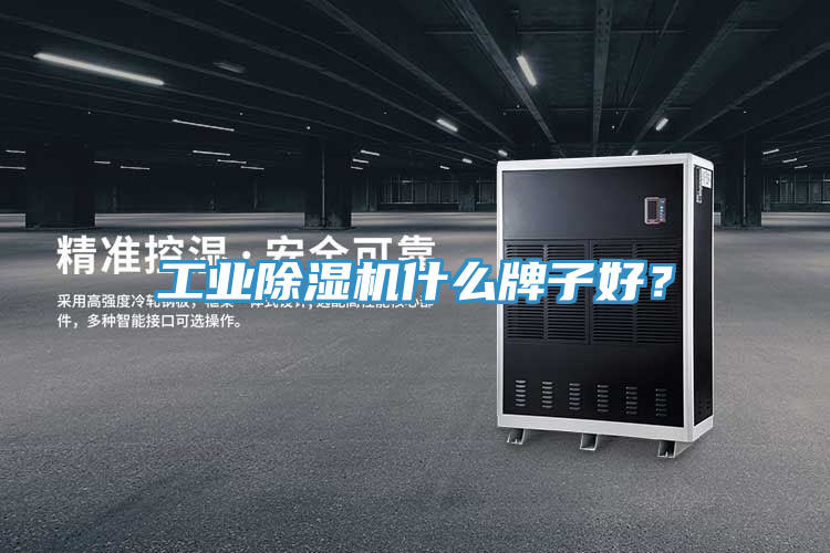 工業除濕機什么牌子好?