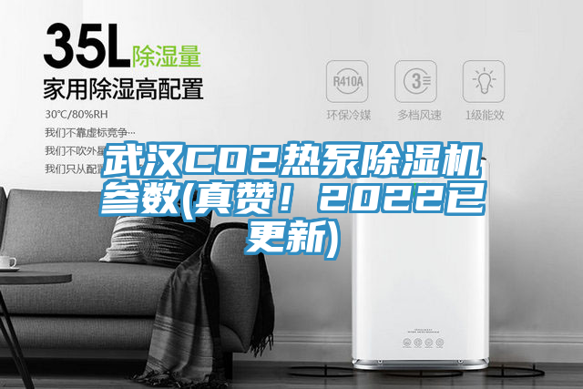 武漢CO2熱泵除濕機參數(真贊!2022已更新)