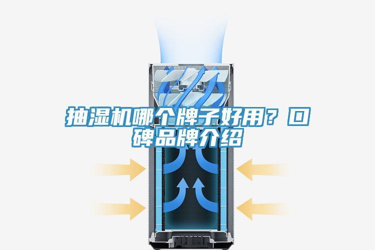 抽濕機哪個牌子好用?口碑品牌介紹