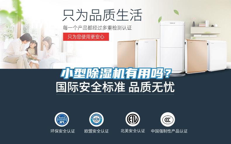 小型除濕機(jī)有用嗎?