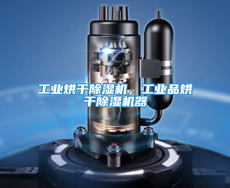 工業(yè)烘干除濕機,工業(yè)品烘干除濕機器