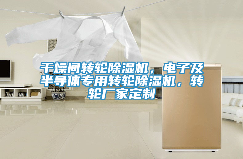 干燥間轉(zhuǎn)輪除濕機,電子及半導(dǎo)體專用轉(zhuǎn)輪除濕機,轉(zhuǎn)輪廠家定制
