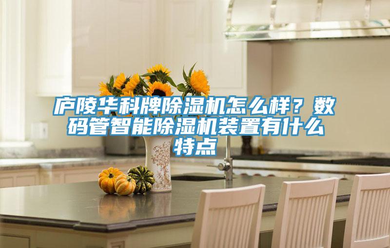廬陵華科牌除濕機怎么樣?數碼管智能除濕機裝置有什么特點