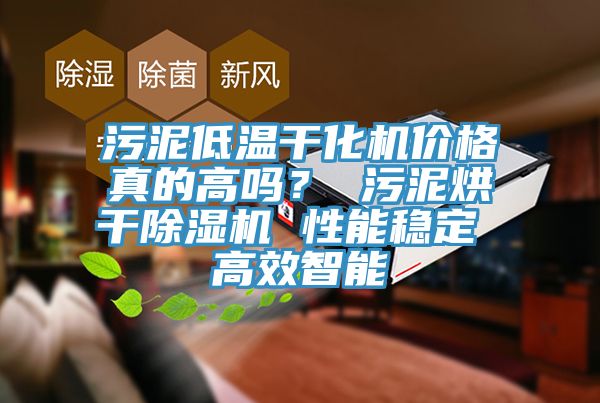 污泥低溫干化機(jī)價(jià)格真的高嗎? 污泥烘干除濕機(jī) 性能穩(wěn)定 高效智能