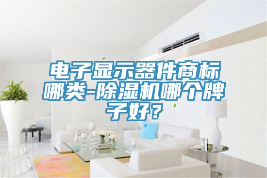 電子顯示器件商標(biāo)哪類(lèi)-除濕機(jī)哪個(gè)牌子好？