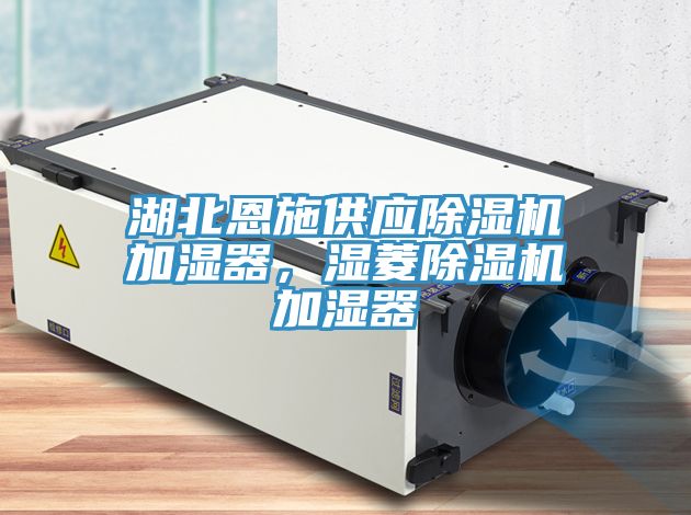 湖北恩施供應除濕機加濕器,濕菱除濕機加濕器