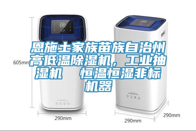 恩施土家族苗族自治州高低溫除濕機，工業(yè)抽濕機  恒溫恒濕非標機器