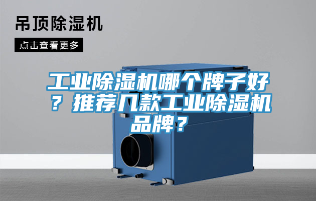 工業(yè)除濕機哪個牌子好?推薦幾款工業(yè)除濕機品牌?