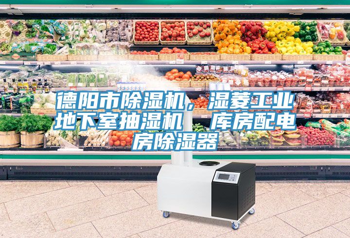 德陽市除濕機，濕菱工業(yè)地下室抽濕機  庫房配電房除濕器
