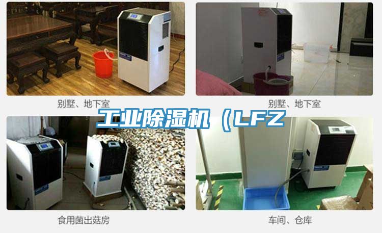 工業(yè)除濕機(LFZ