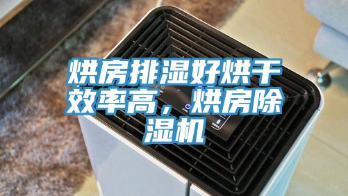 烘房排濕好烘干效率高,烘房除濕機(jī)