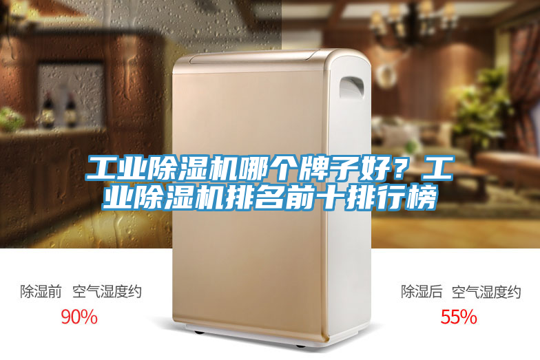 工業(yè)除濕機哪個牌子好?工業(yè)除濕機排名前十排行榜
