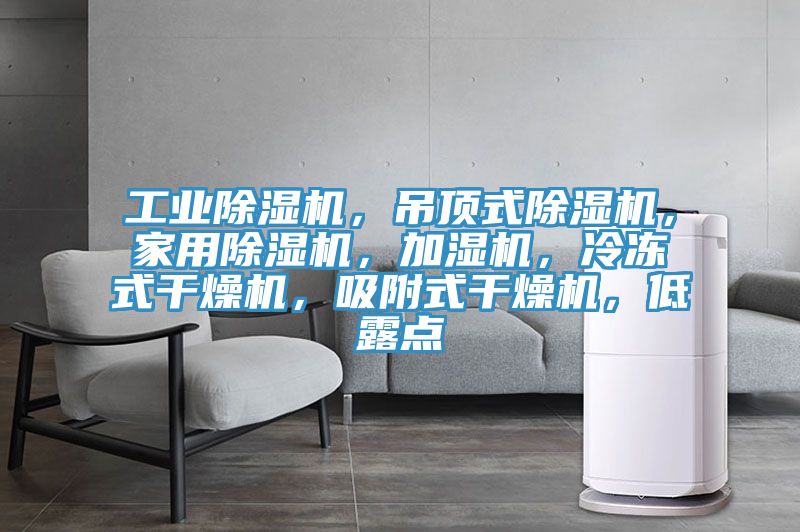 工業(yè)除濕機,吊頂式除濕機,家用除濕機,加濕機,冷凍式干燥機,吸附式干燥機,低露點