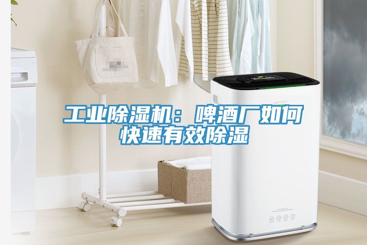 工業除濕機:啤酒廠如何快速有效除濕