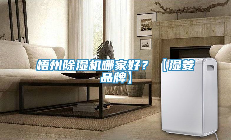 梧州除濕機哪家好？【濕菱品牌】