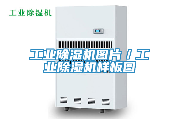 工業(yè)除濕機圖片/工業(yè)除濕機樣板圖