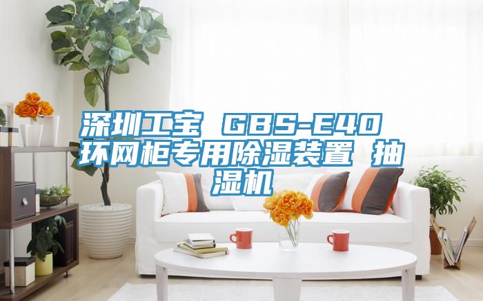 深圳工寶 GBS-E40 環(huán)網柜專用除濕裝置 抽濕機