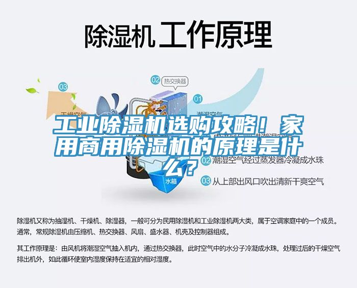 工業(yè)除濕機選購攻略!家用商用除濕機的原理是什么?