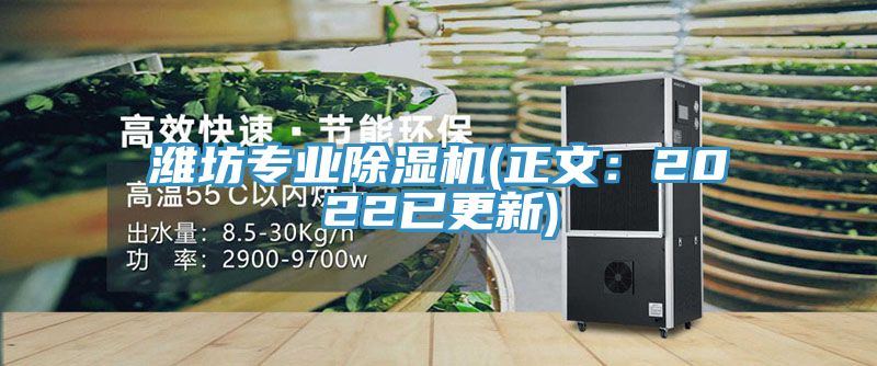 濰坊專業除濕機(正文:2022已更新)