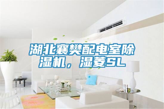 湖北襄樊配電室除濕機,濕菱SL