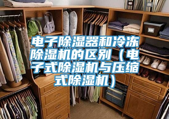 電子除濕器和冷凍除濕機的區(qū)別(電子式除濕機與壓縮式除濕機)