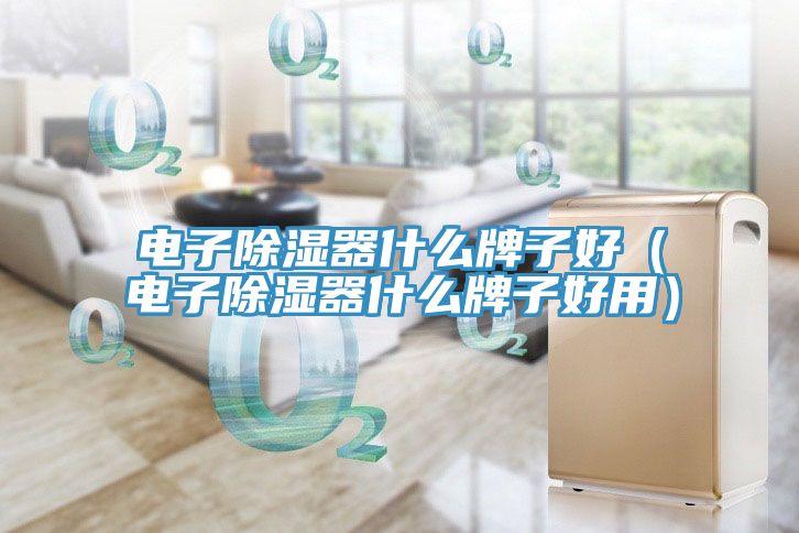 電子除濕器什么牌子好(電子除濕器什么牌子好用)