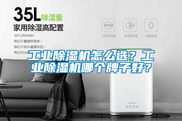 工業(yè)除濕機怎么選？工業(yè)除濕機哪個牌子好？