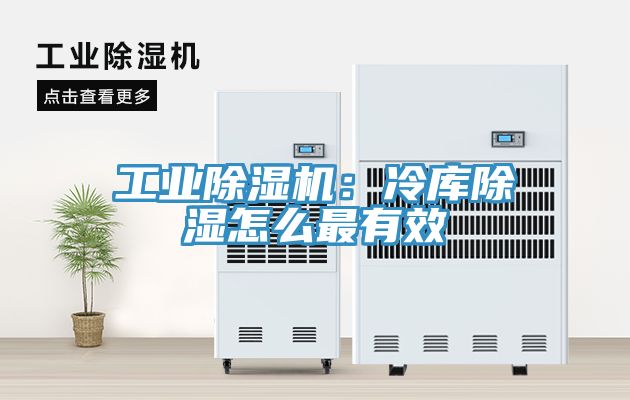 工業除濕機:冷庫除濕怎么最有效