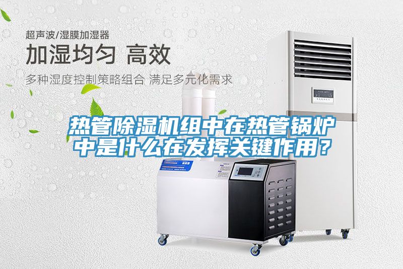 熱管除濕機(jī)組中在熱管鍋爐中是什么在發(fā)揮關(guān)鍵作用?