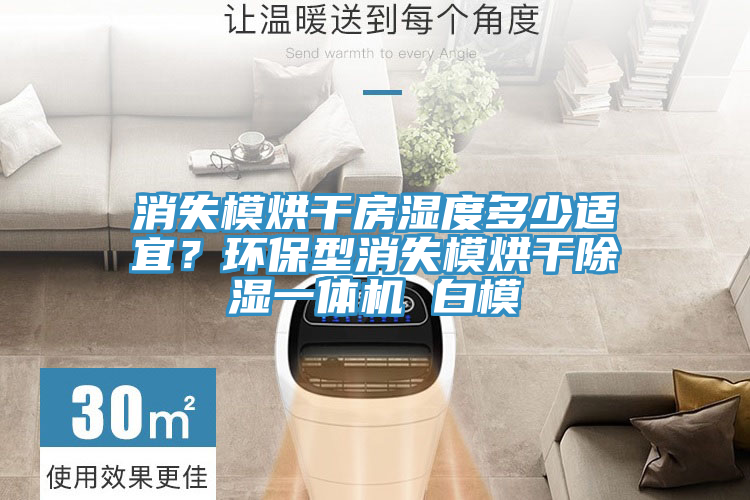 消失模烘干房濕度多少適宜？環保型消失模烘干除濕一體機 白模