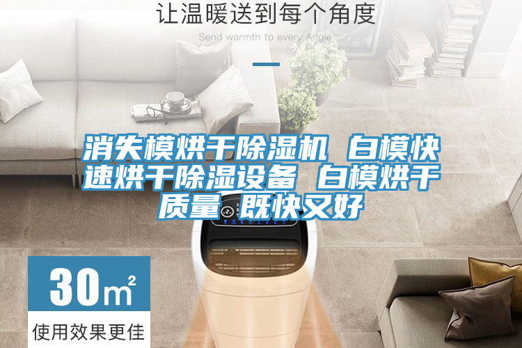 消失模烘干除濕機 白?？焖俸娓沙凉裨O備 白模烘干質量 既快又好