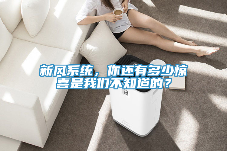 新風(fēng)系統(tǒng),你還有多少驚喜是我們不知道的?