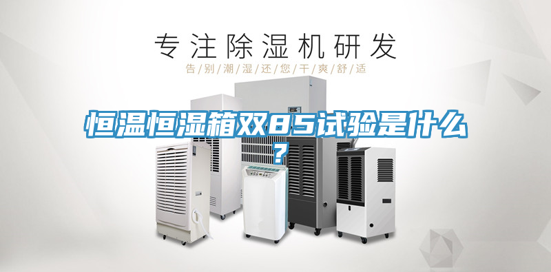 恒溫恒濕箱雙85試驗是什么？