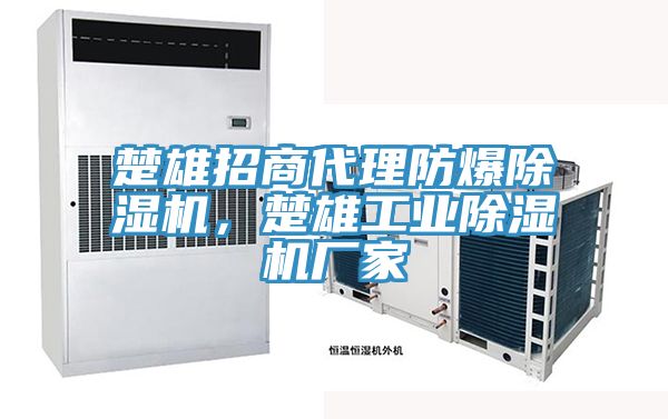 楚雄招商代理防爆除濕機，楚雄工業除濕機廠家