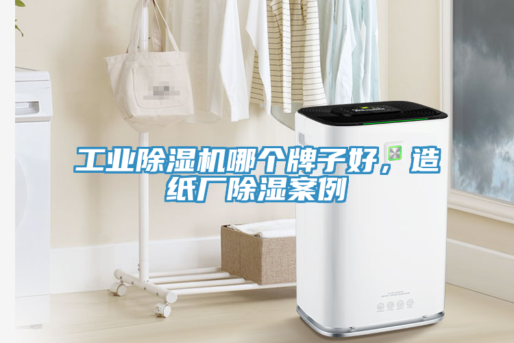 工業(yè)除濕機哪個牌子好,造紙廠除濕案例