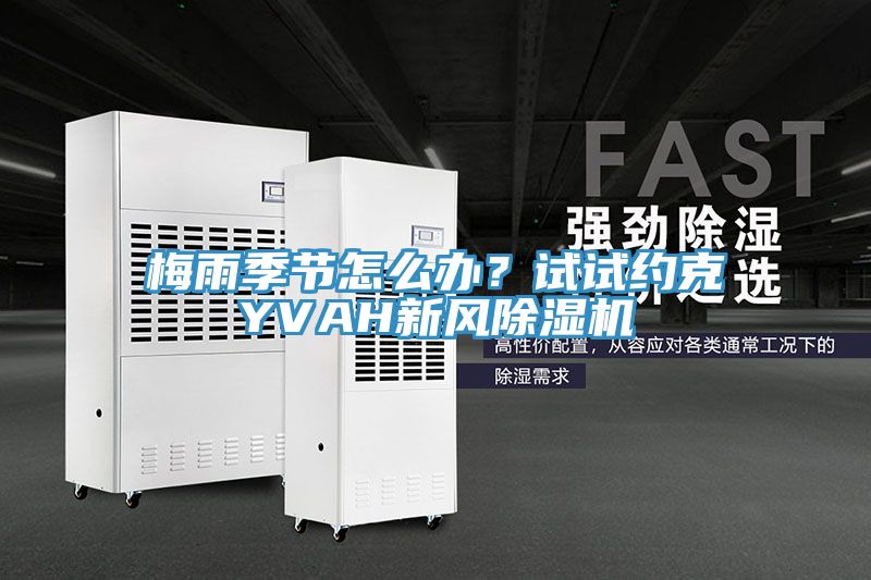 梅雨季節怎么辦?試試約克YVAH新風除濕機