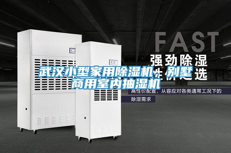 武漢小型家用除濕機,別墅商用室內抽濕機