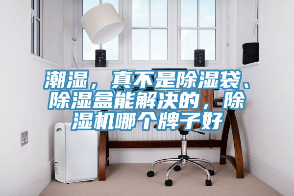 潮濕，真不是除濕袋、除濕盒能解決的，除濕機哪個牌子好