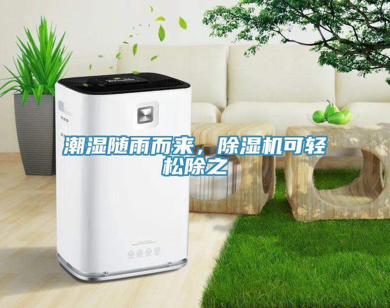 潮濕隨雨而來，除濕機可輕松除之