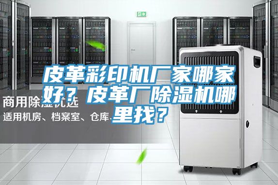 皮革彩印機廠家哪家好？皮革廠除濕機哪里找？