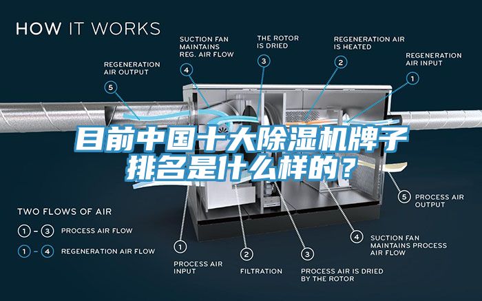 目前中國十大除濕機牌子排名是什么樣的？
