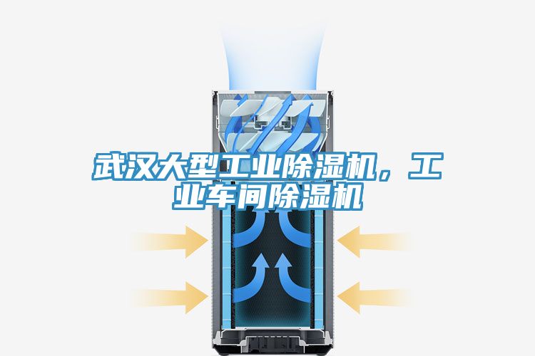 武漢大型工業除濕機,工業車間除濕機